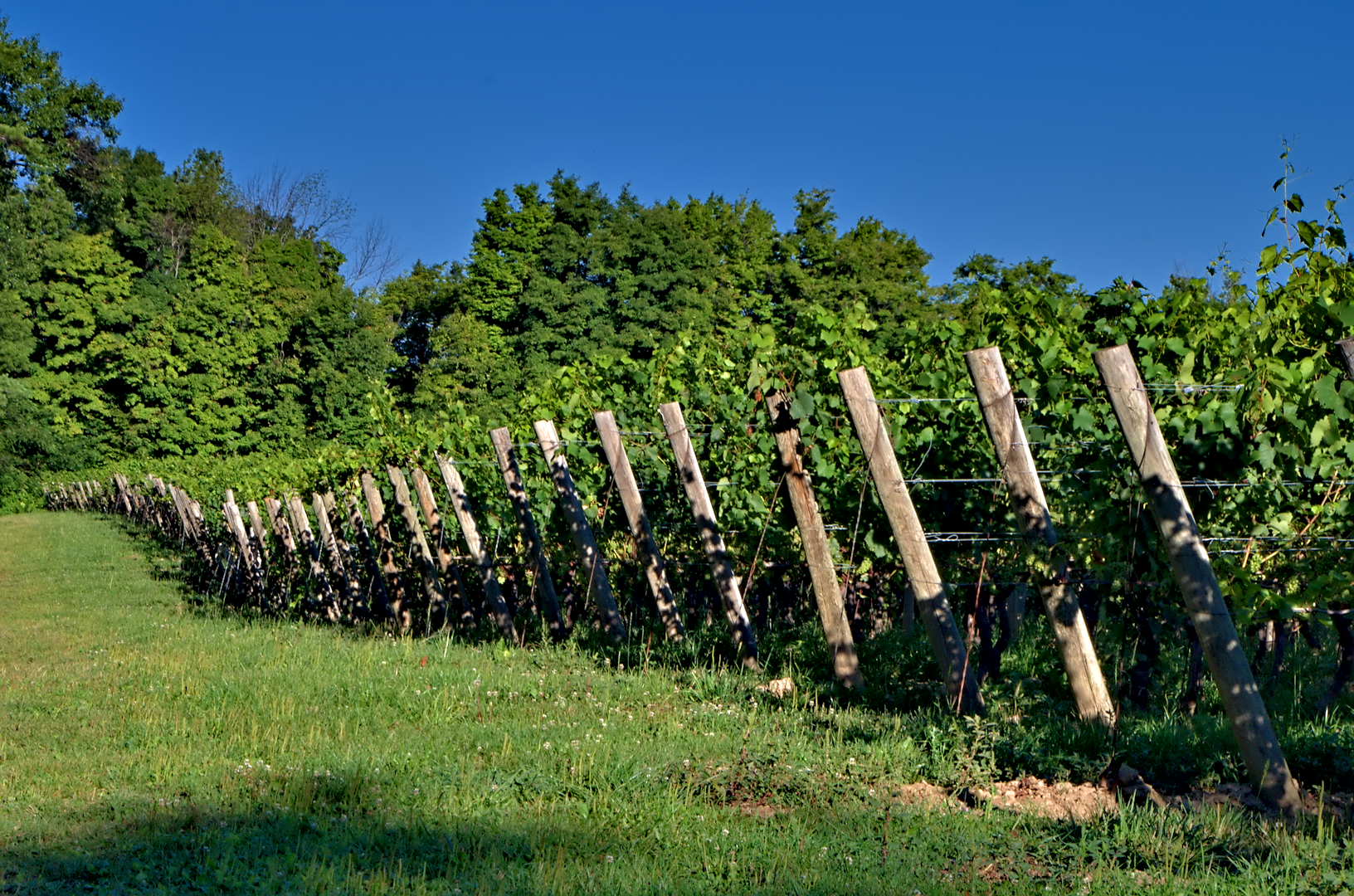 Niagara Escarpment